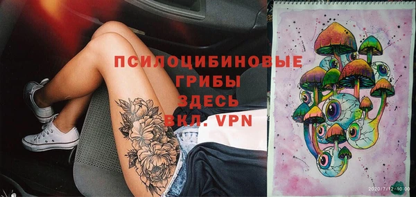 бошки Арсеньев