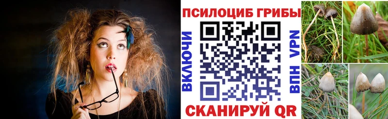 закладка  Белорецк  Псилоцибиновые грибы Magic Shrooms 
